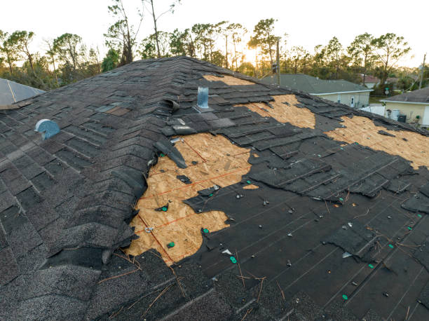 Best Gutter Installation and Repair  in Matteson, IL