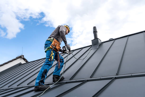 Best Roof Maintenance and Cleaning  in Matteson, IL