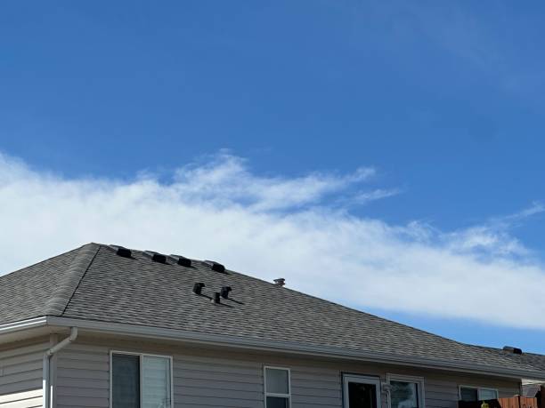 Best Roof Maintenance and Cleaning  in Matteson, IL